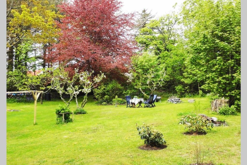 Charming Flat In Cosy Farmhouse Skudeneshavn Zewnętrze zdjęcie