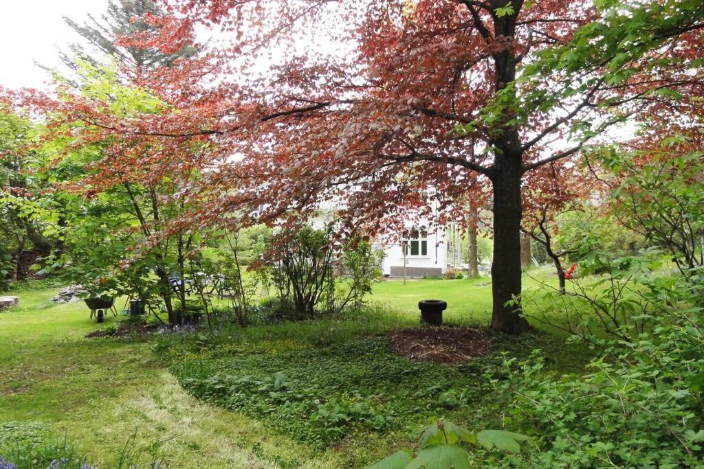Charming Flat In Cosy Farmhouse Skudeneshavn Zewnętrze zdjęcie